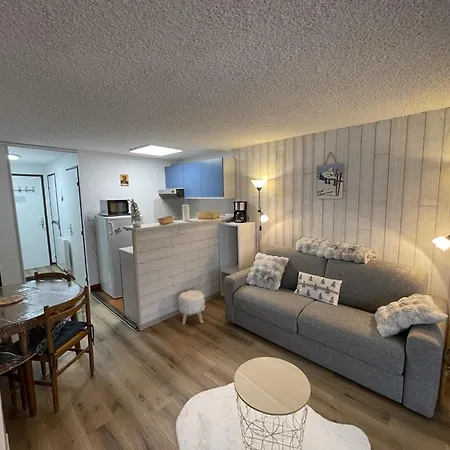 Studio Au Pied Des Pistes, Balcon Sud-est, Tout Equipe - Fr-1-787-105 * Laveissière